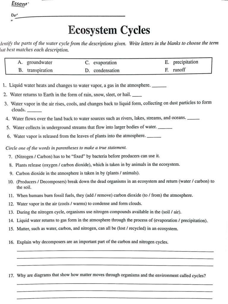 Integrated Science Cycles Worksheet Answer Key In 2021 Water Cycle 