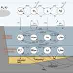 Itay Halevy Research