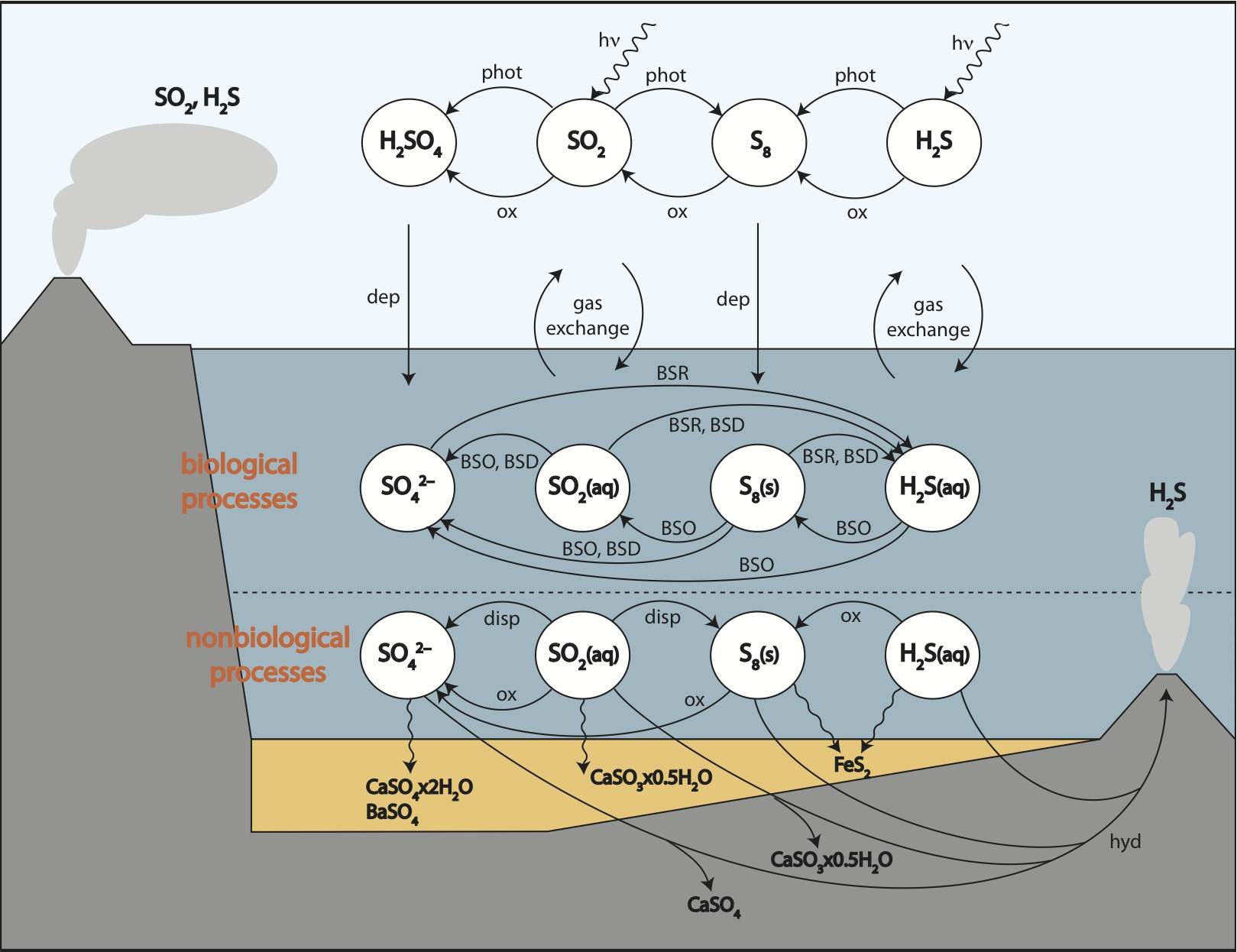 Itay Halevy Research