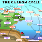 Lab Overviews