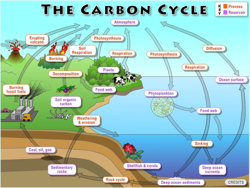 Lab Overviews