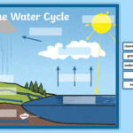 Label The Water Cycle Worksheet