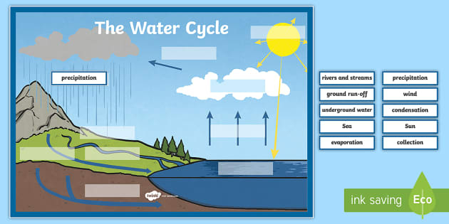 Label The Water Cycle Worksheet