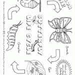 Large Selection Of FREE Butterfly Coloring Pages From TheButterflySite