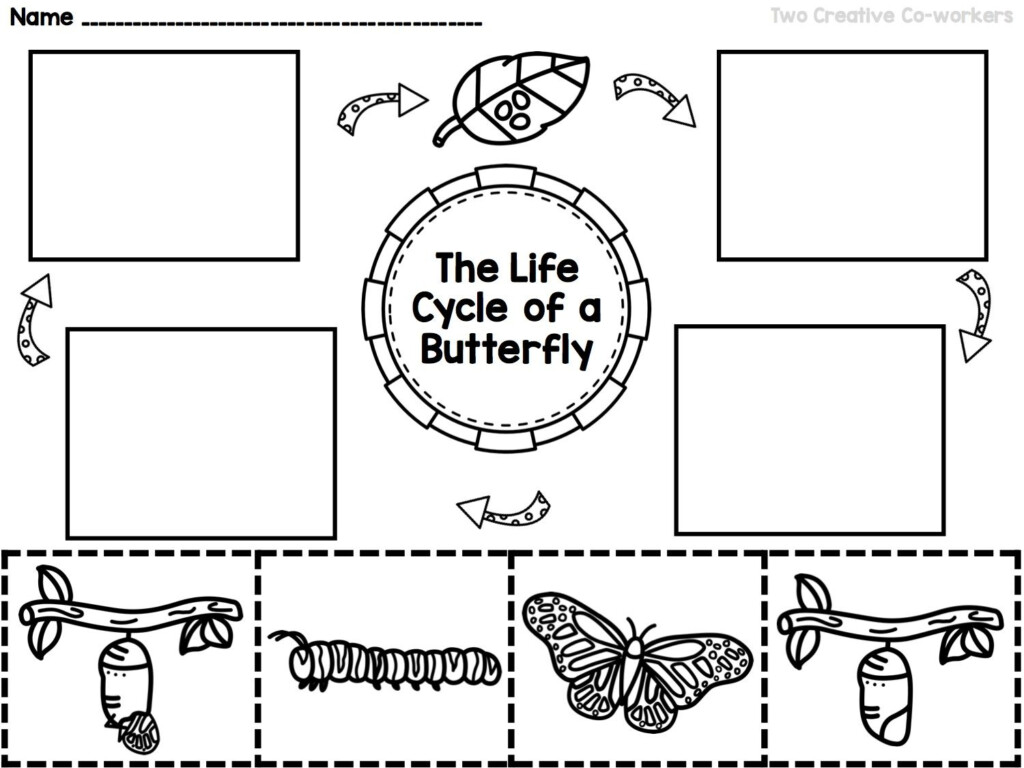 Life Cycle Of A Butterfly Lesson Plan Ks1 Bebe Smith s Kindergarten 