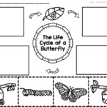 Life Cycle Of A Butterfly Lesson Plan Ks1 Bebe Smith s Kindergarten