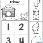 Life Cycle Of A Chicken Worksheet Google Search Farm Preschool