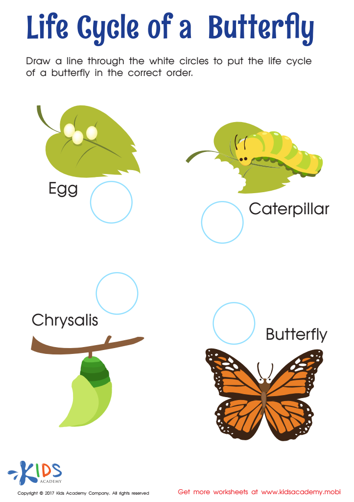 Life Cycle Of Butterfly Worksheet Free Printable PDF For Kids