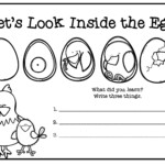 Life Cycle Of Chicken Tracing Worksheet Name Tracing Generator Free