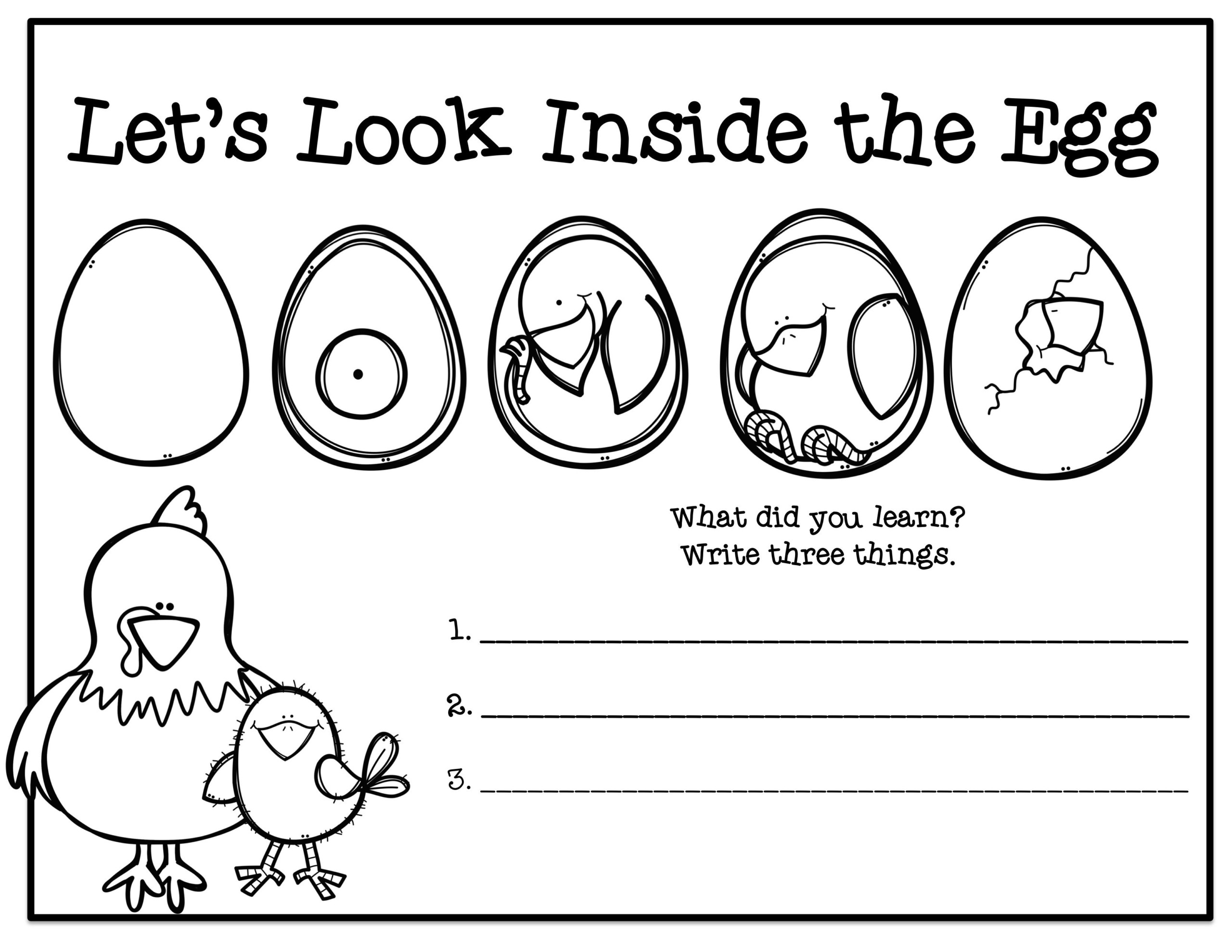 Life Cycle Of Chicken Tracing Worksheet Name Tracing Generator Free