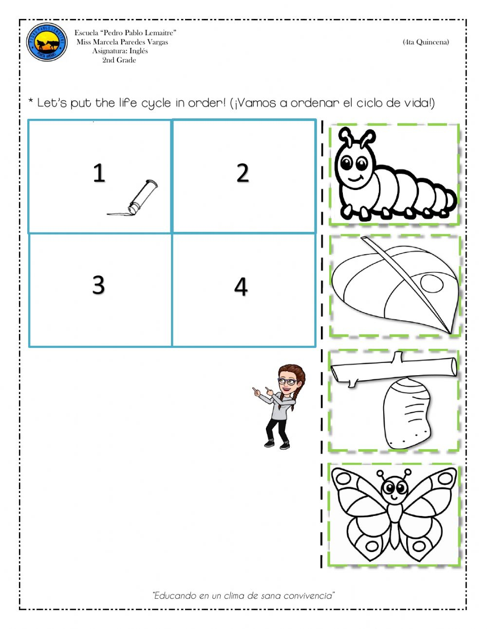 Life Cycles Worksheets