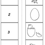 Life Of Cycle Chicken Worksheet For Preschoolers Ciclo De Vida