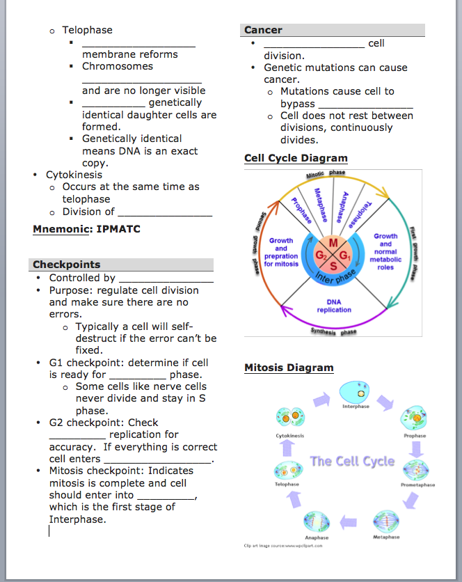 Mariaing licensed For Non commercial Use Only IU5 Cell Cycle 