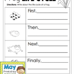 May Printables First Grade Literacy And Math Lifecycle Of A Frog