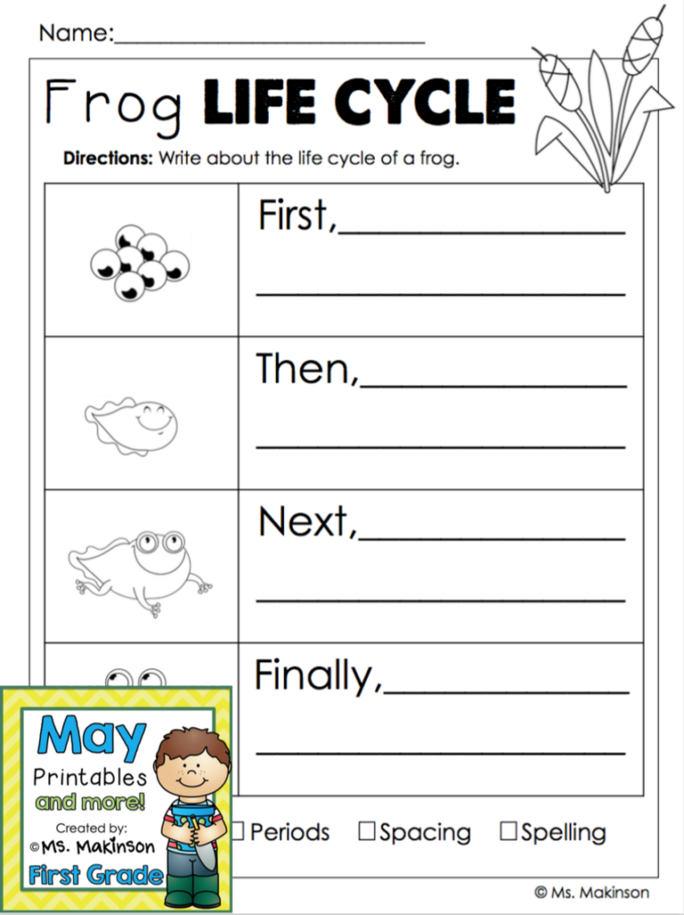 May Printables First Grade Literacy And Math Lifecycle Of A Frog 