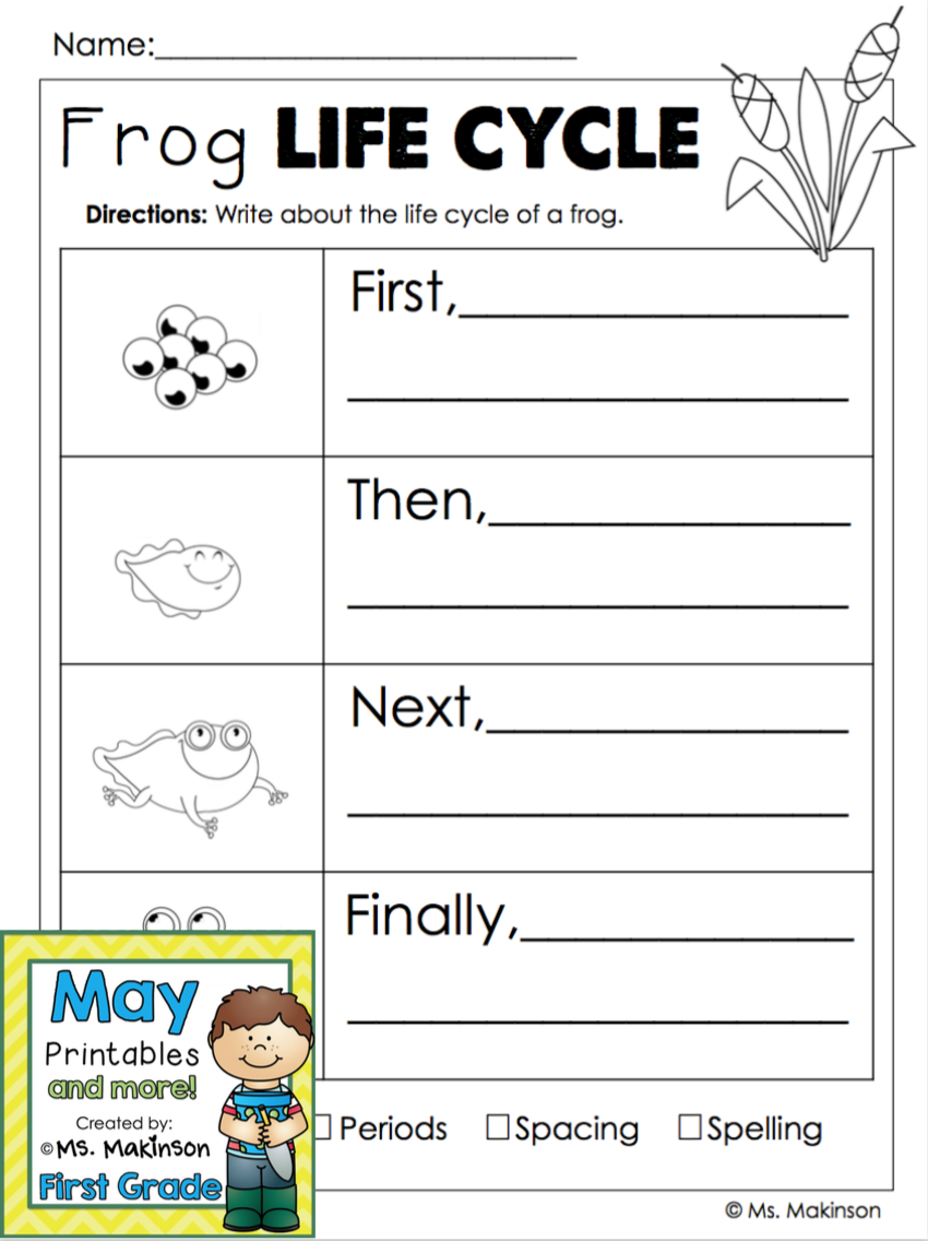 May Printables First Grade Literacy And Math Lifecycle Of A Frog