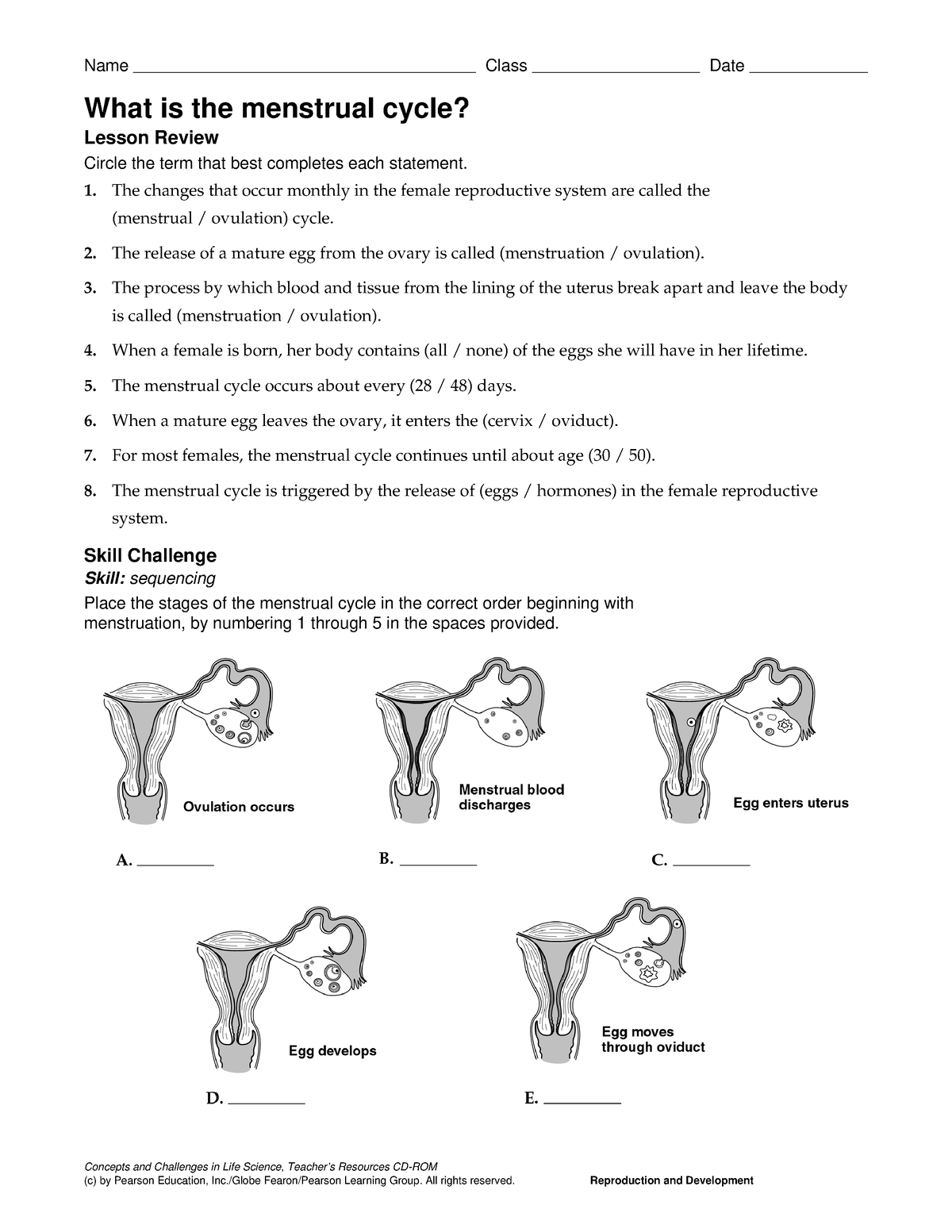 Menstrual Cycle Worksheet Name Class Date Concepts And Challenges In 