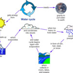 Mind Map Concept Map Water Cycle