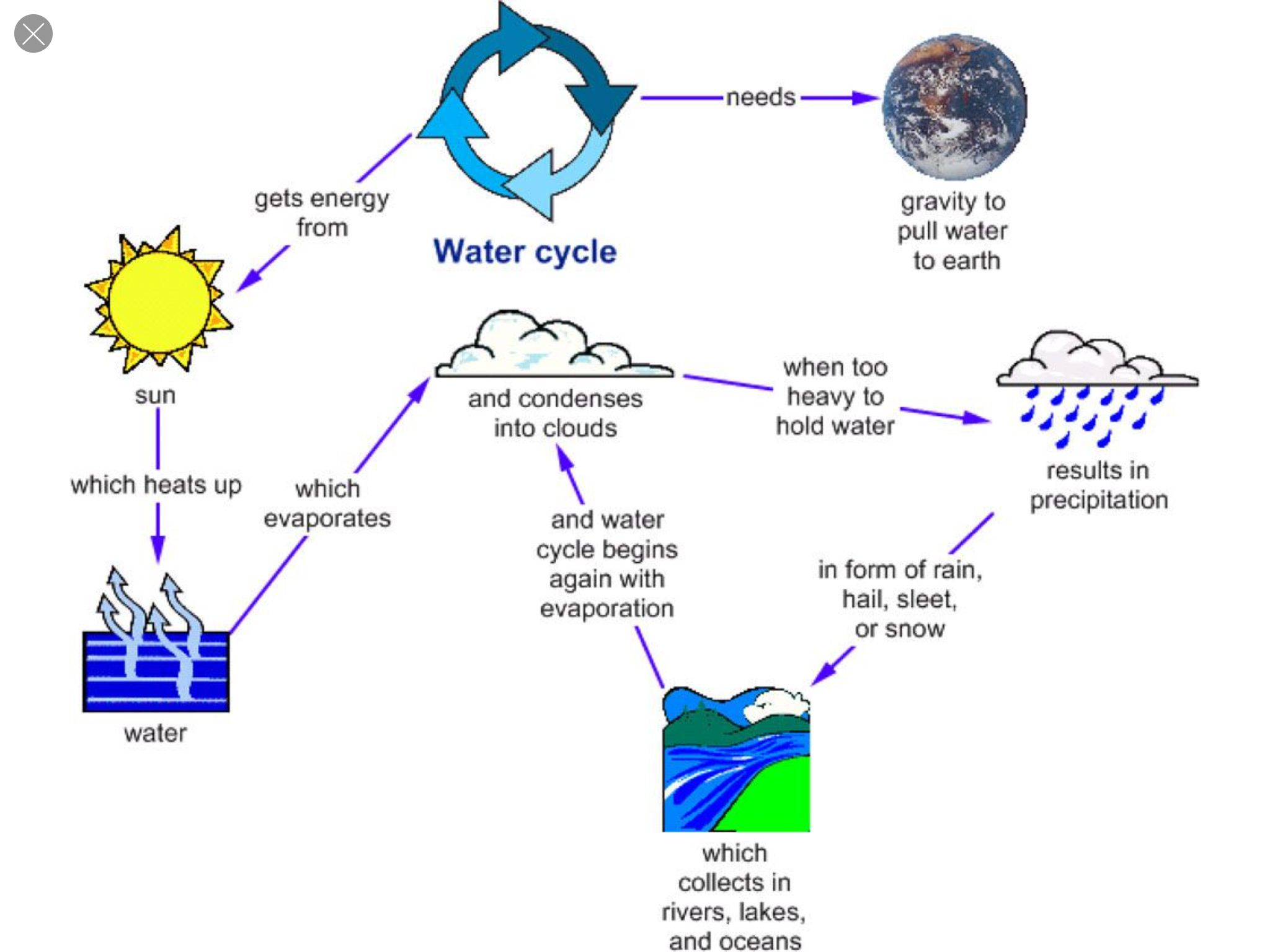  Mind Map Concept Map Water Cycle