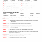 Mitosis Worksheet And Diagram Identification Mitosis Worksheets