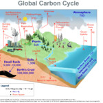 NASA Workshop Preps Educators To Train Next Gen Carbon Researchers