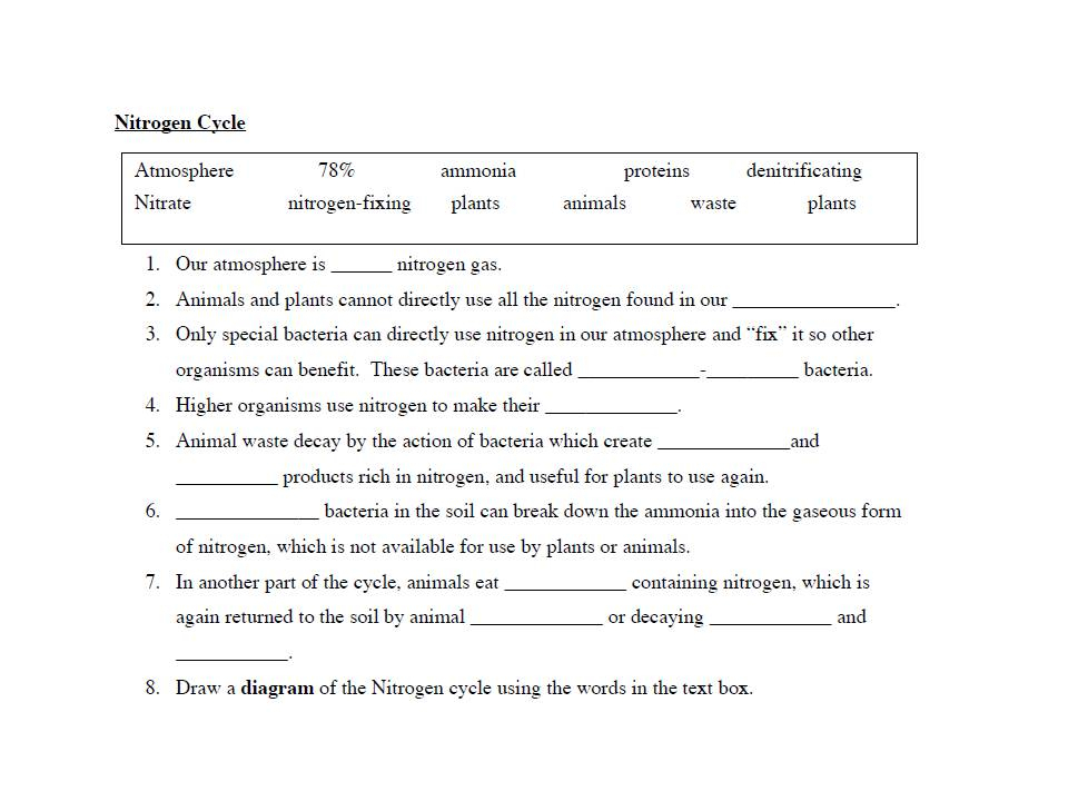 Nitrogen Cycle Fill In The Blank Worksheet Answers CycleWorksheet