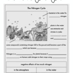 Nitrogen Cycle Reading Passage Set Video In 2020 Nitrogen Cycle