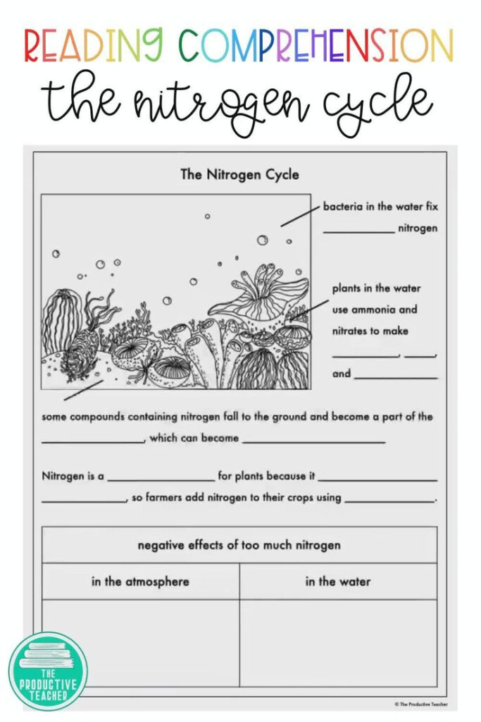 Nitrogen Cycle Reading Passage Set Video In 2020 Nitrogen Cycle 