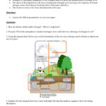 Nitrogen Cycle Worksheet