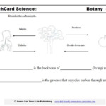 Nitrogen Cycle Worksheet Answer Key Worksheet