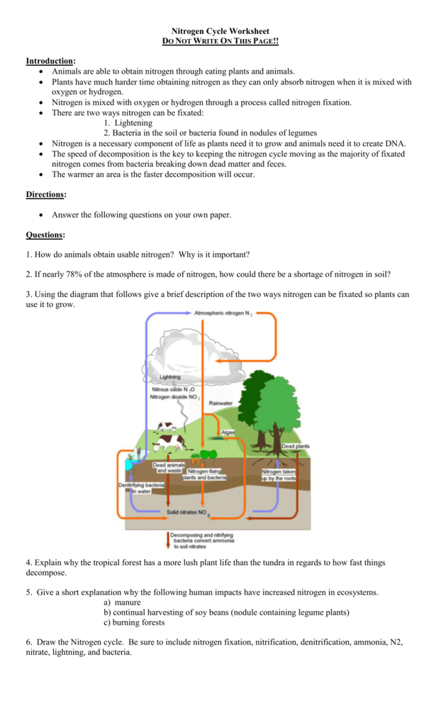 Nitrogen Cycle Worksheet