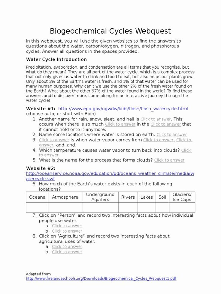  Nutrient Cycles Worksheet Answer Key Free Download Goodimg co