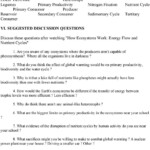 Nutrient Cycles Worksheet Answers How Ecosystems Work Energy Flow And