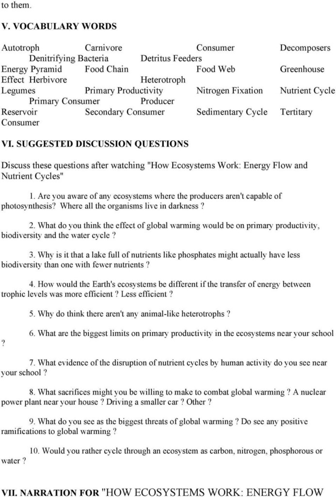 Nutrient Cycles Worksheet Answers How Ecosystems Work Energy Flow And 