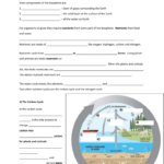 Nutrient Cycles Worksheets