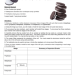 Oreo Mitosis Student Worksheet Materials Needed 6 Oreo Cookies