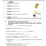 Parts Of A Plant Worksheets K5 Learning Plants Online Exercise For