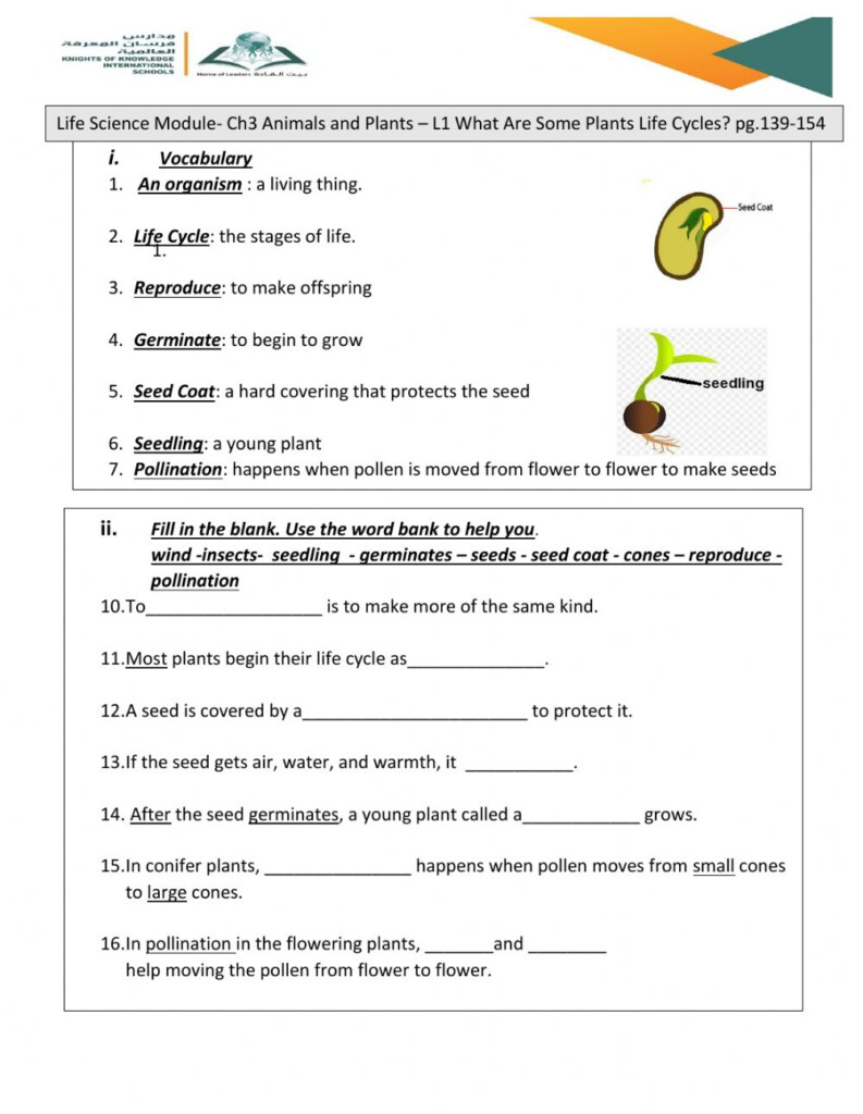 Parts Of A Plant Worksheets K5 Learning Plants Online Exercise For 