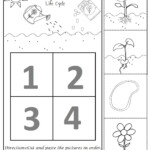 Parts Of The Flower Worksheet