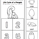 Penguin Life Cycle Printable Preschool Printables