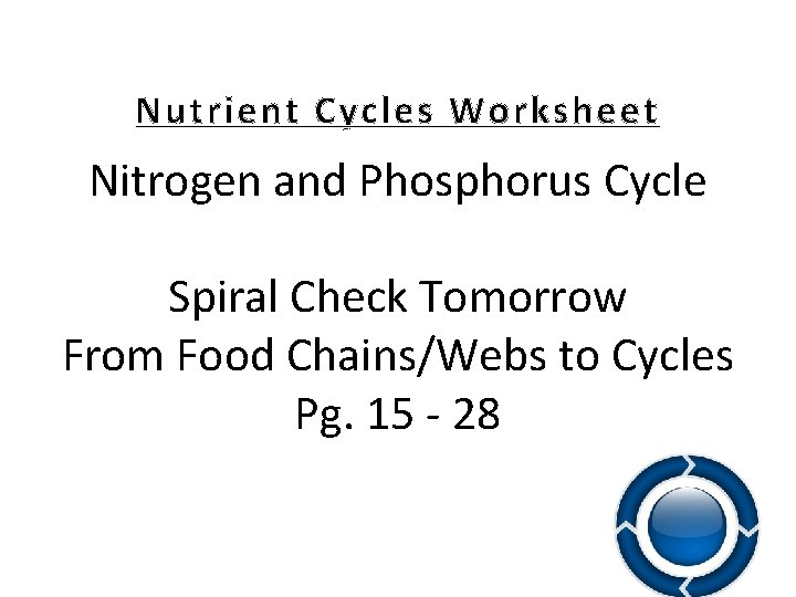 Phosphorus Cycle Reading And Worksheet The Phosphorus Cycle Worksheet 