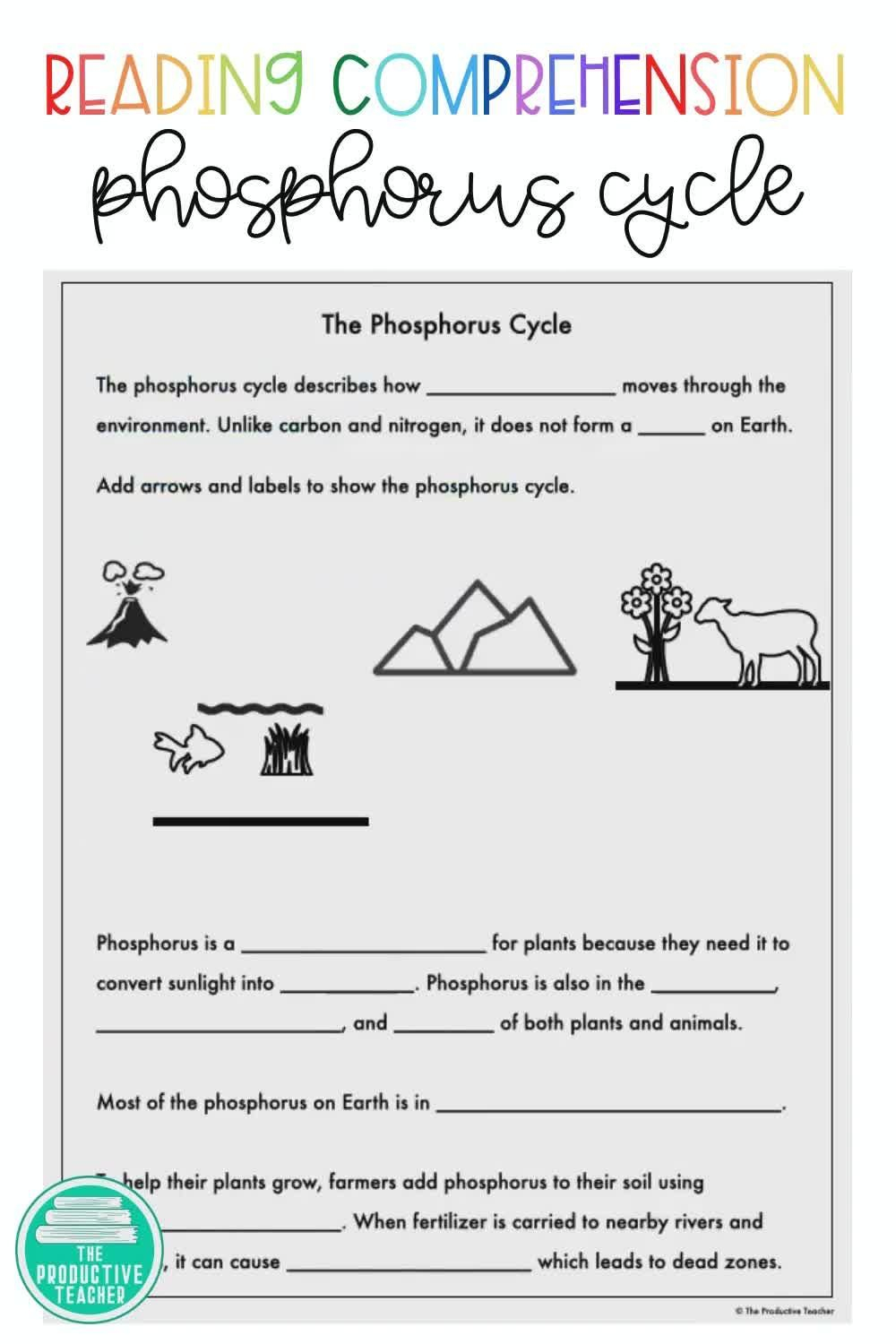 Phosphorus Cycle Worksheet Electrical Schematic Diagram Pictures