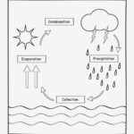 Pin By Andrea Villarroel On Peque os Water Cycle Worksheet Water