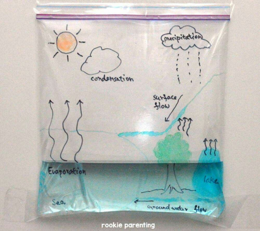 Pin By Katherine Dobbie On Science Science Activities For Kids Water