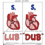 Pin By Rebecca Luddon On Medical Nursing Assessment Nursing