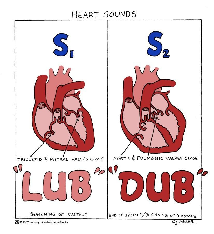 Pin By Rebecca Luddon On Medical Nursing Assessment Nursing 