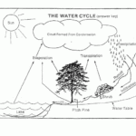 Pinelands Water Cycle Worksheet Answer Key