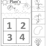 Plants Activity For 1o Primaria What Do Plants Need To Grow Worksheet