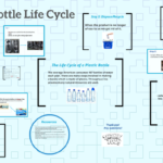 Plastic Bottle Life Cycle By Emily Lopez