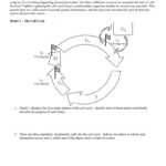 Pogil The Cell Cycle Answer Camera Exposure Sale